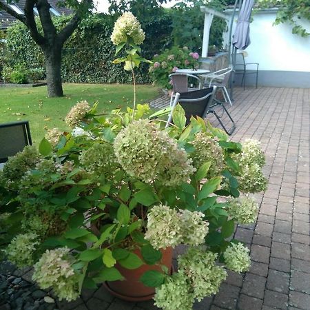 Ferienwohnung Kirschbluete Billigheim-Ingenheim Екстериор снимка