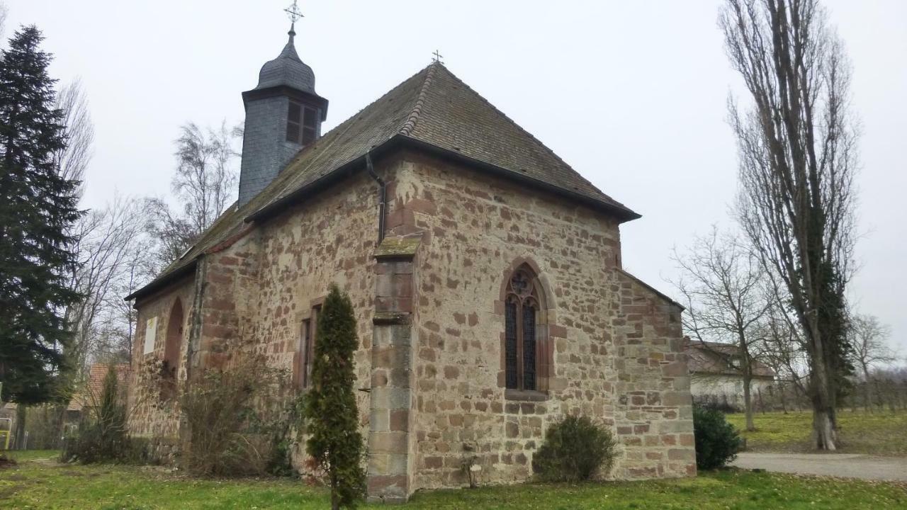 Ferienwohnung Kirschbluete Billigheim-Ingenheim Екстериор снимка