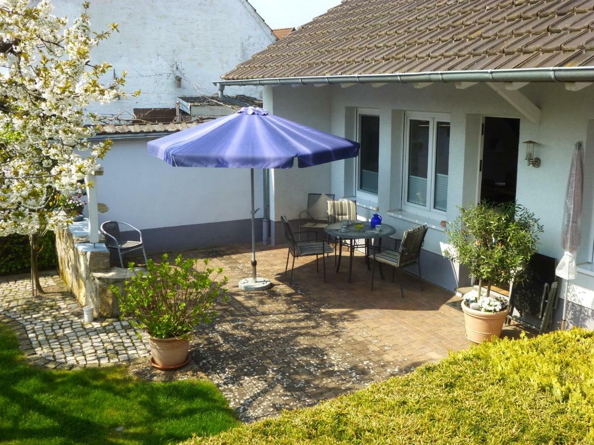 Ferienwohnung Kirschbluete Billigheim-Ingenheim Екстериор снимка